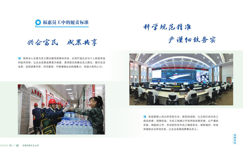 龍煤   畫冊(cè)Q_14.jpg